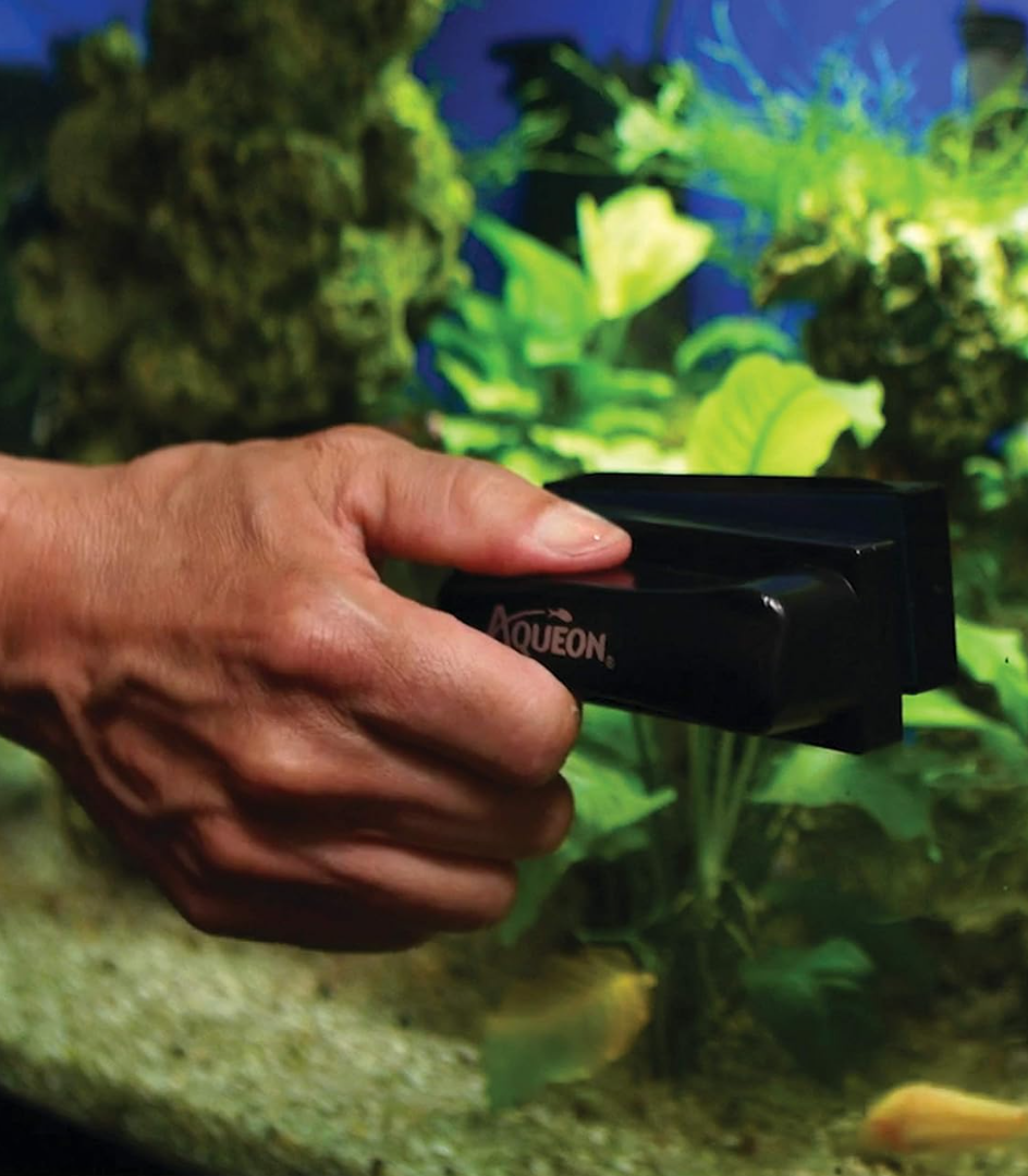 Magnetic Algae Cleaner（offer）