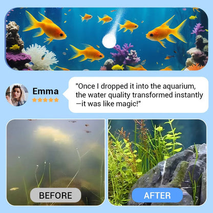 🎁Powerful Aquarium Water Purification Tablet (OFFER)