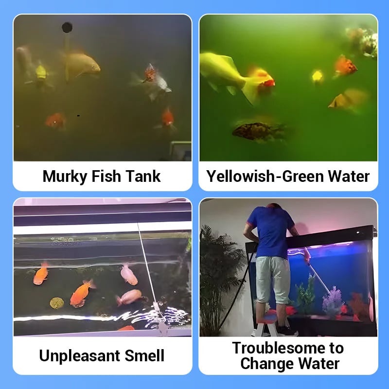 🎁Powerful Aquarium Water Purification Tablet (OFFER)